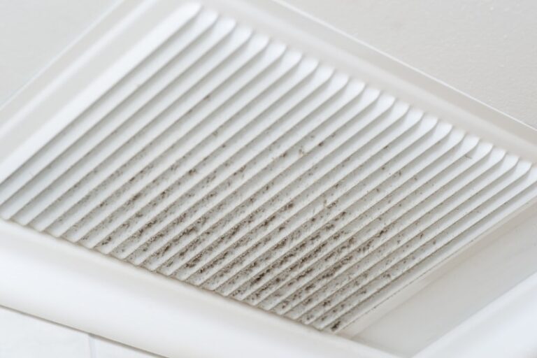 Ventilation Dust